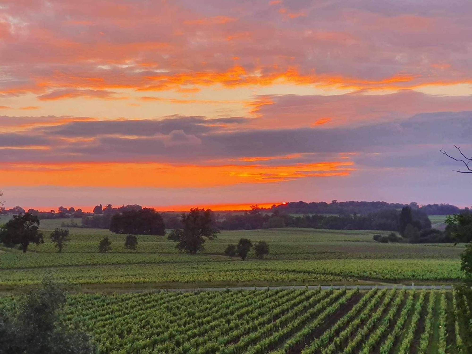 Chateau Fleur De Roques - Puisseguin Saint Emilion 외부 사진