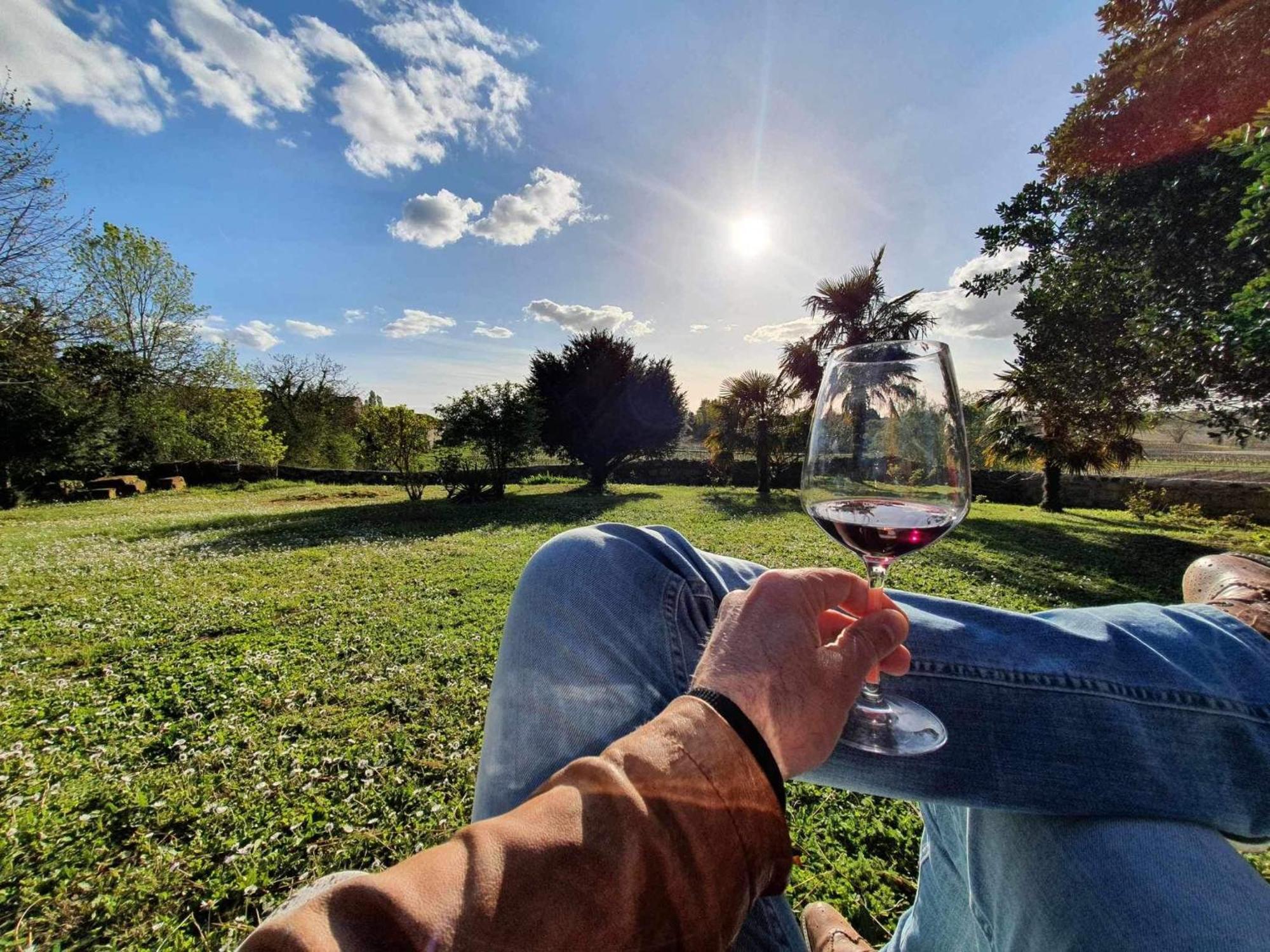 Chateau Fleur De Roques - Puisseguin Saint Emilion 외부 사진